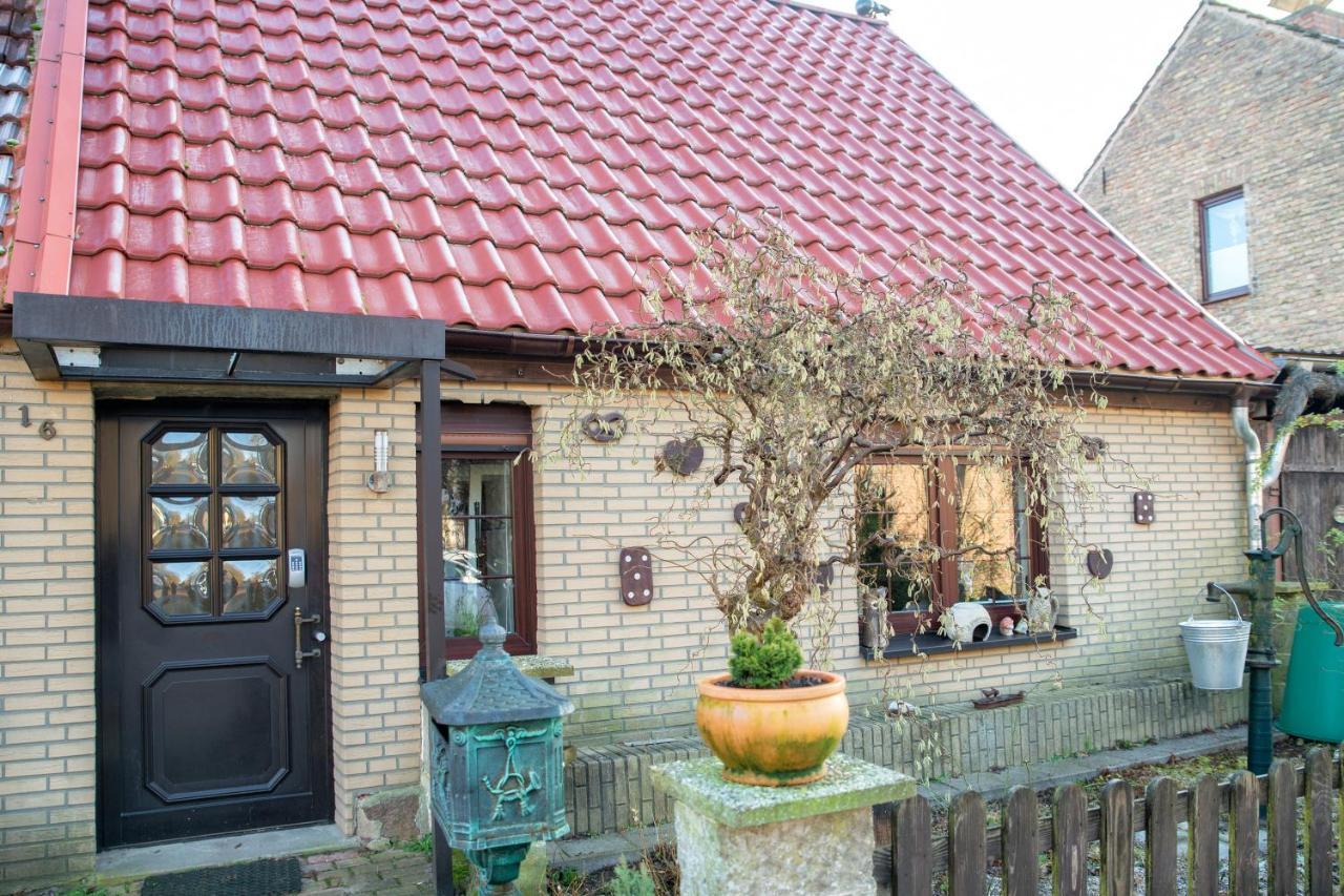 Ferienhaus Am Reiterhof Templin Exterior foto